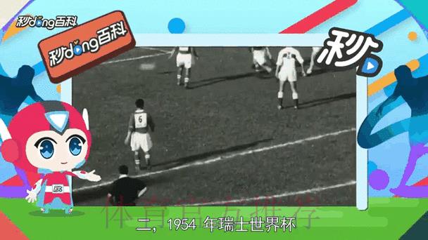 世界杯赛事比分查询：实时掌握每场比赛动态