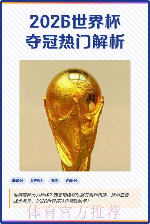 2026年世界杯最热门比分预测深度解析